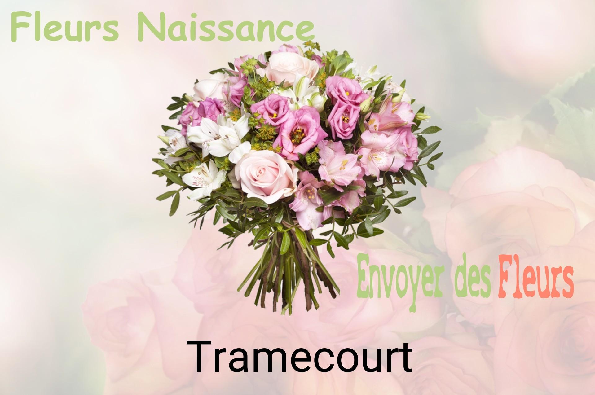 Bouquet de fleurs de naissance livré à Tramecourt