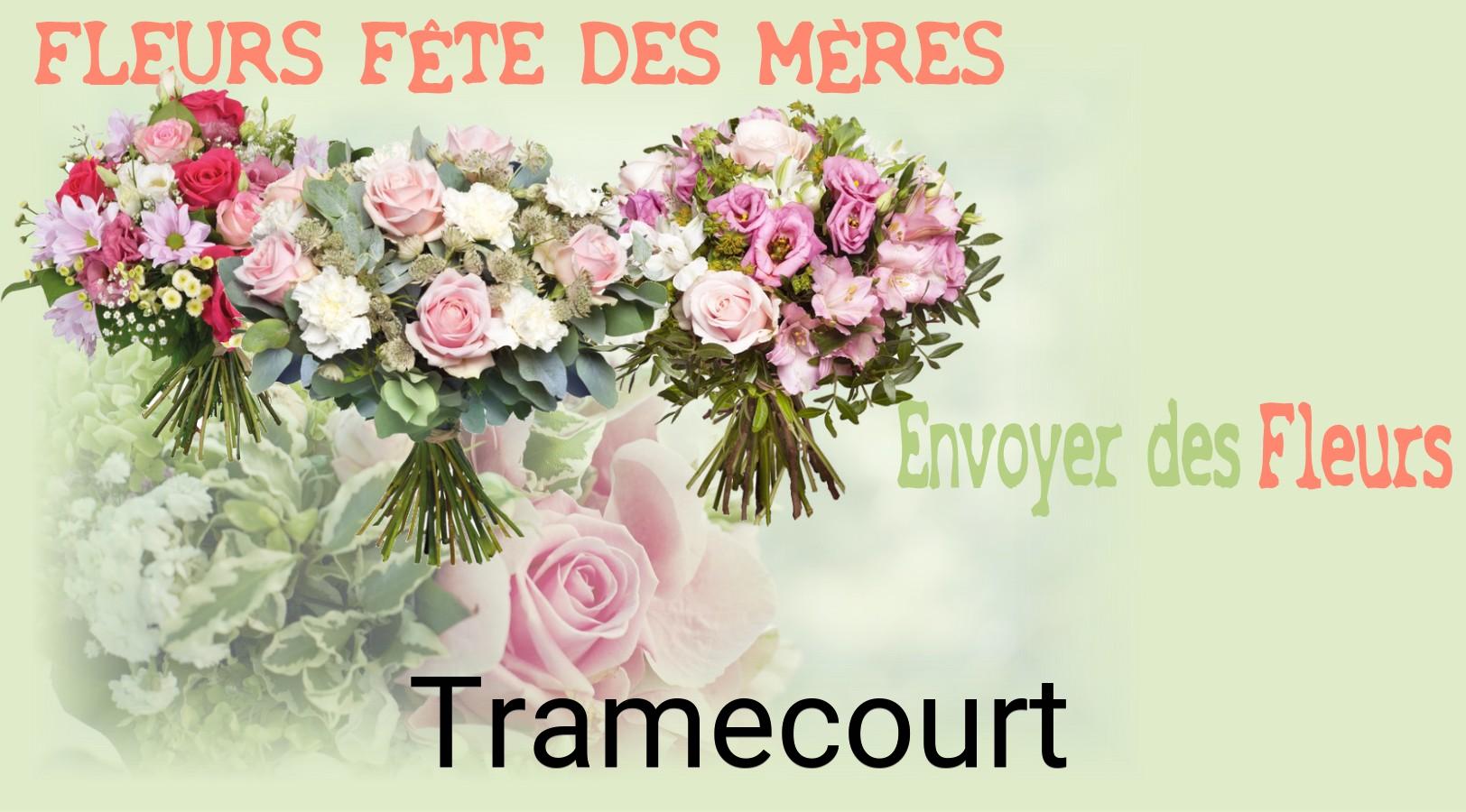 Bouquet de Fête des Mères livré à Tramecourt